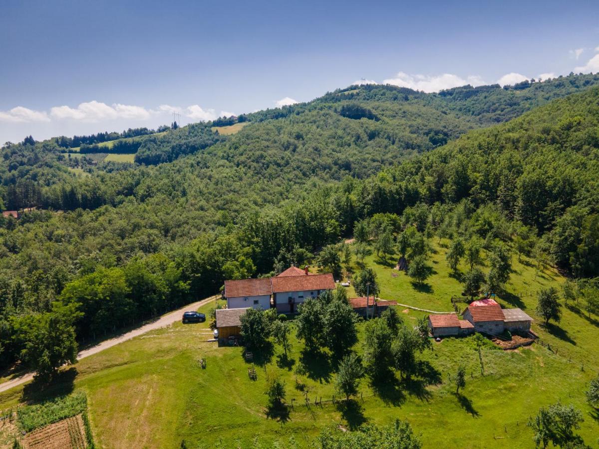 Kuca Za Odmor Dm Villa Баина Баща Екстериор снимка